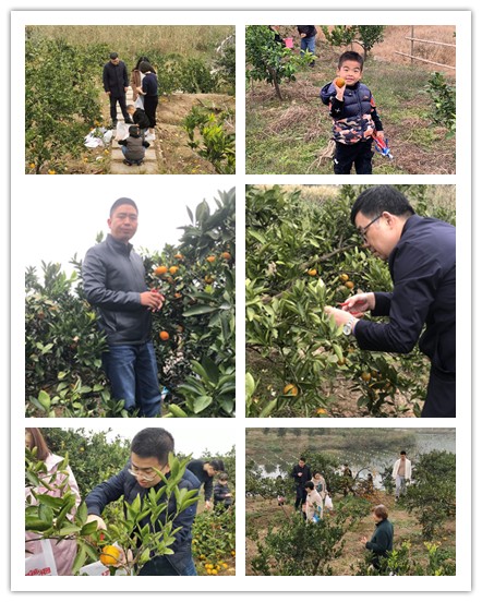 033332eb8c2603e4af091da492e0232_副本.jpg 033332eb8c2603e4af091da492e0232_副本.jpg