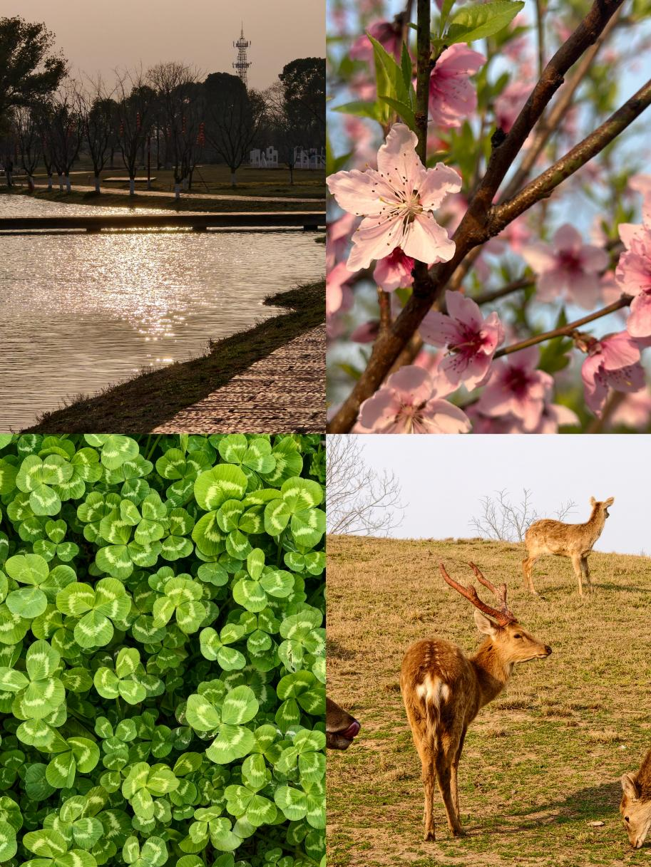 图片3.png 图片3.png